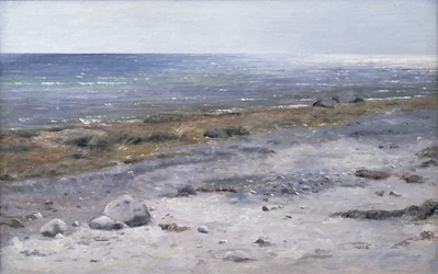 Plaża, Mols